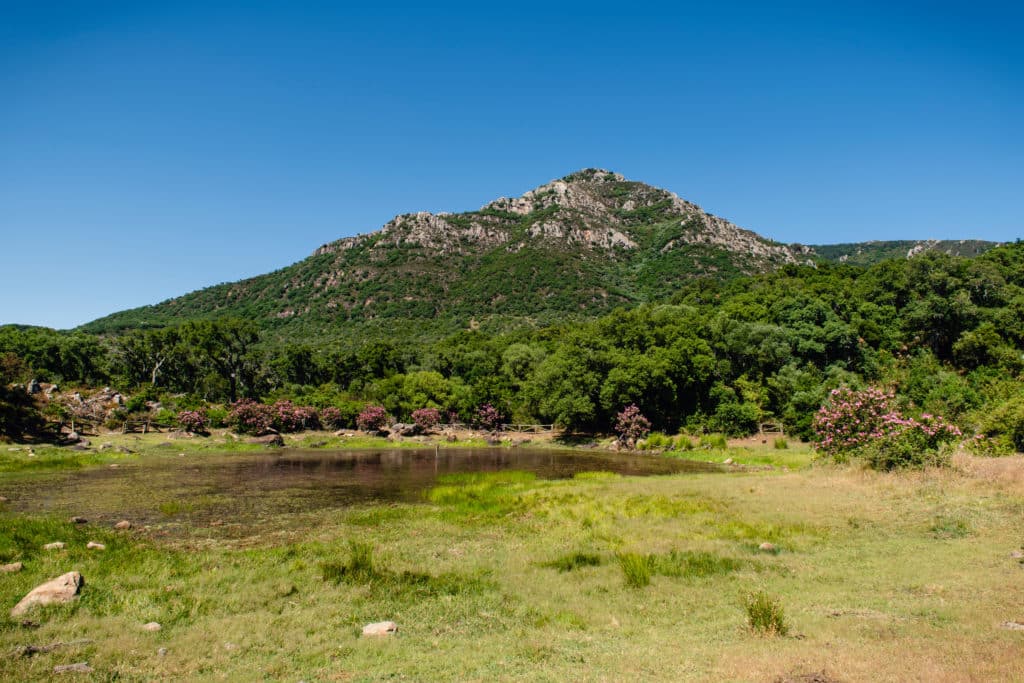 Rutas por el parque de los Alcornocales: subida al Picacho. 