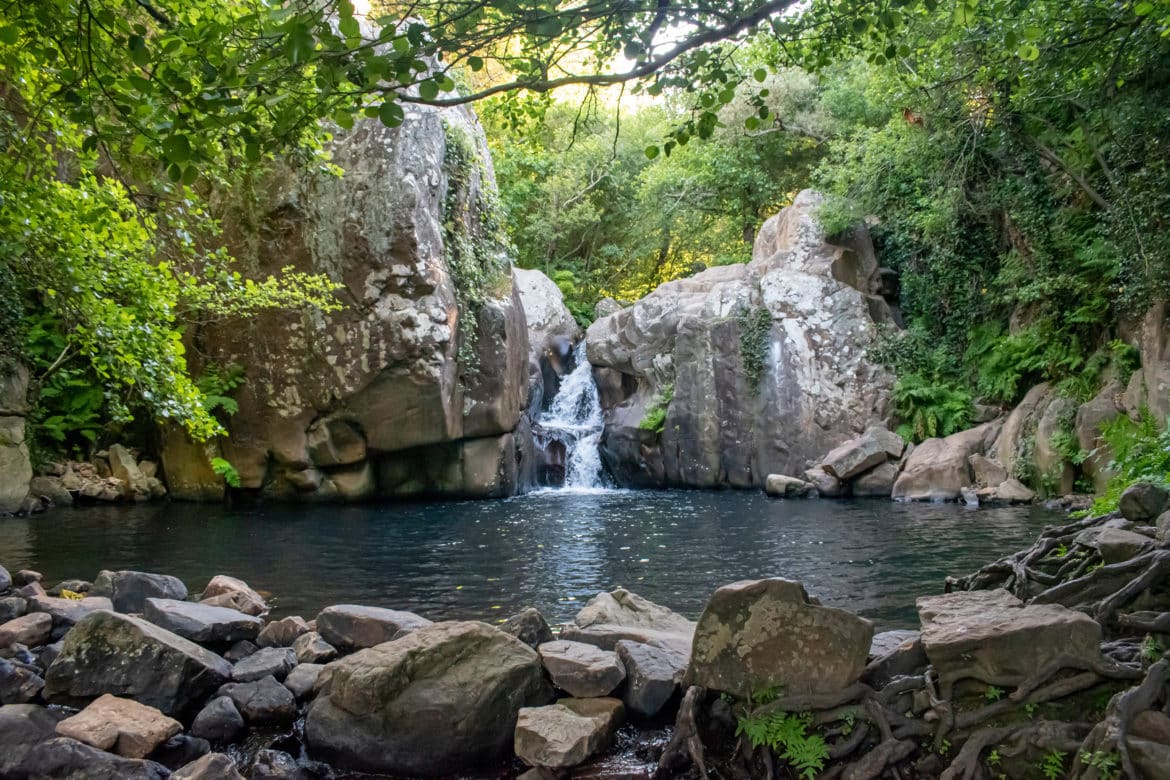 4 rutas por el Parque de Los Alcornocales, la última selva