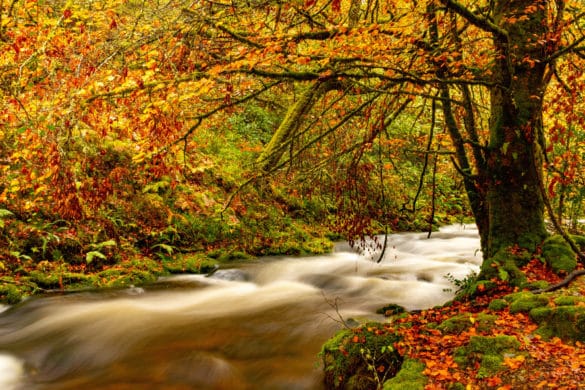 5 destinos rurales que visitar en octubre