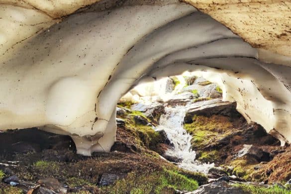 Los maravillosos y efímeros túneles de nieve verde