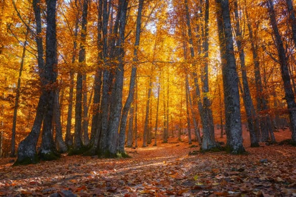 Los mejores pueblos para hacer senderismo en otoño