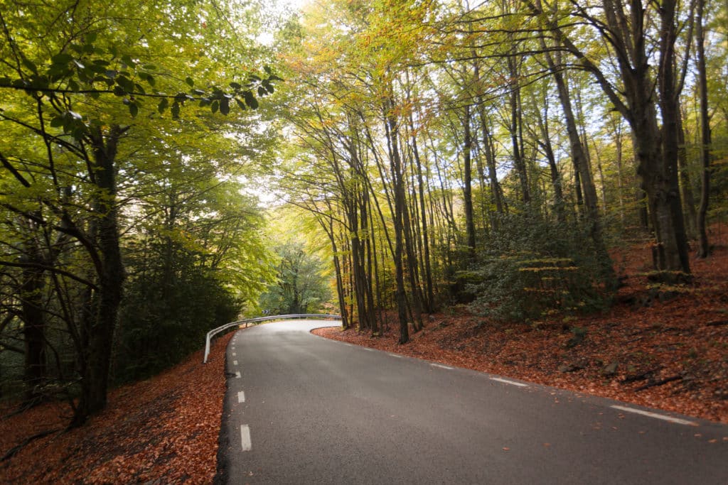 Visitar el Montseny en octubre