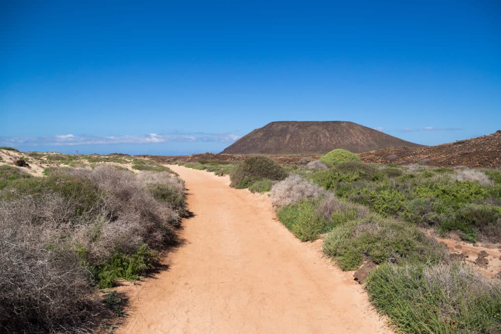 Isla de Lobos