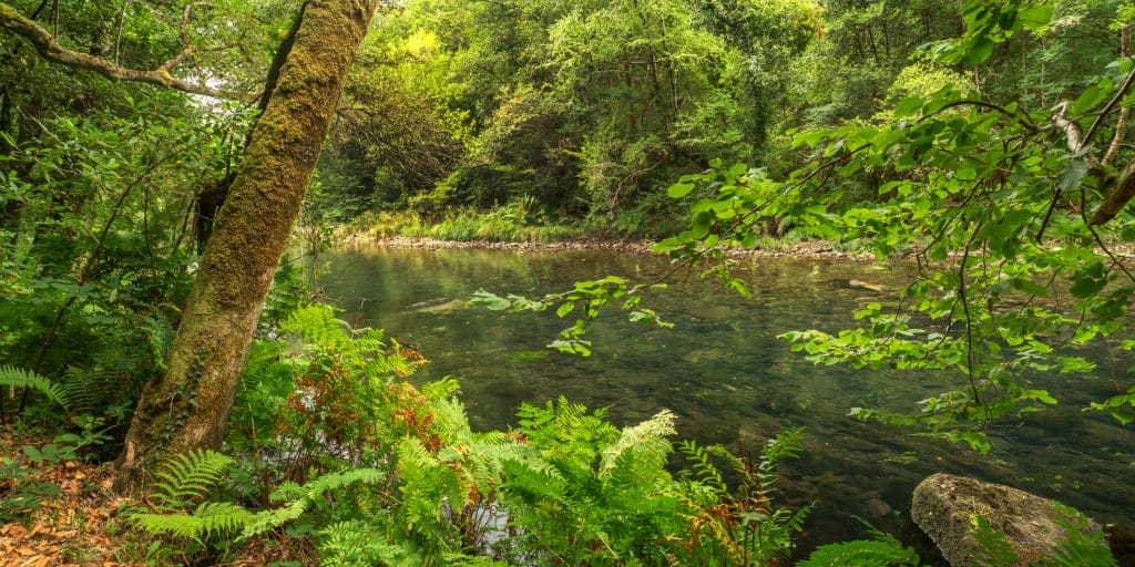 Escapadas Naturales Parque