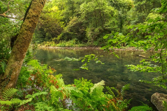 4 parques naturales que visitar en tu próxima escapada rural