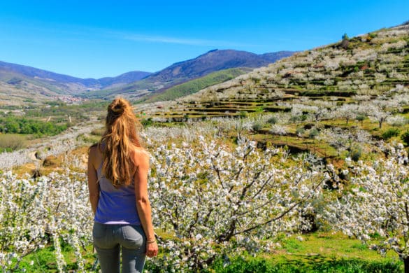 Las rutas primaverales más fascinantes de España
