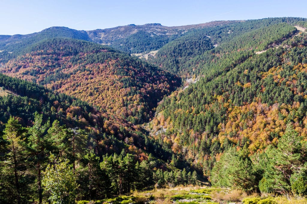 Parque Natural Sierra Cebollera