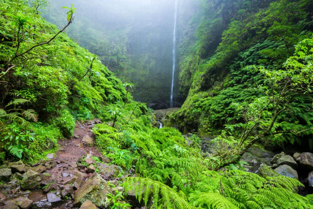 Qué ver en Madeira: Caldeirao Verde