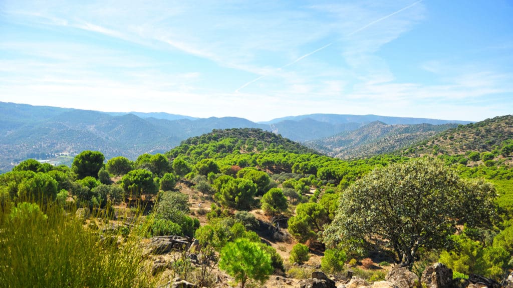 Parque Natural Sierra de Andújar