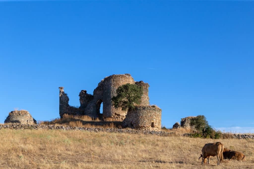 Castillo de Asmesnal, Alfaraz de Sayago