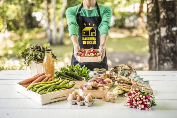 ¡La Colmena Que Dice Sí! lucha contra el desperdicio de alimentos