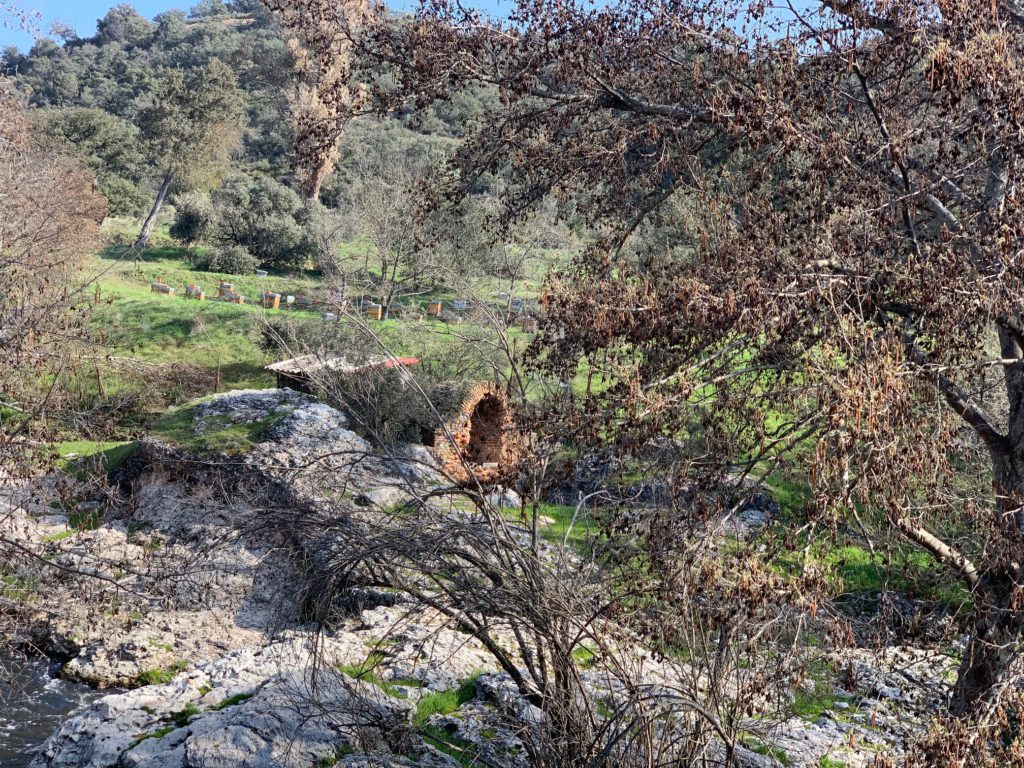 Cascadas del Hervidero