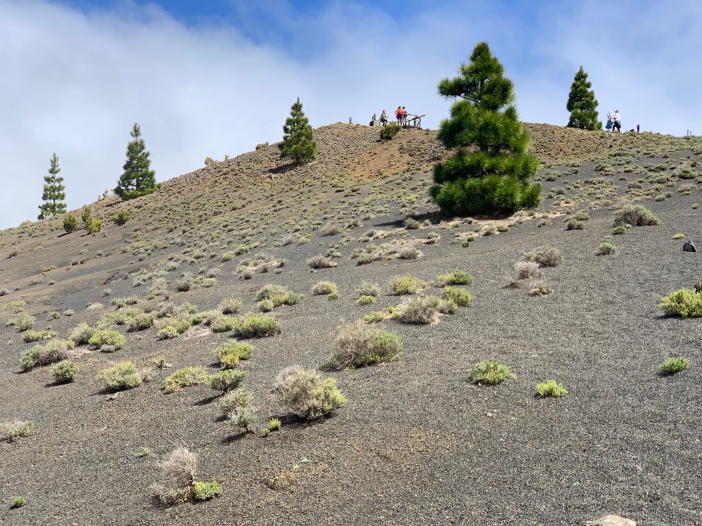 Sendero de La Llanía