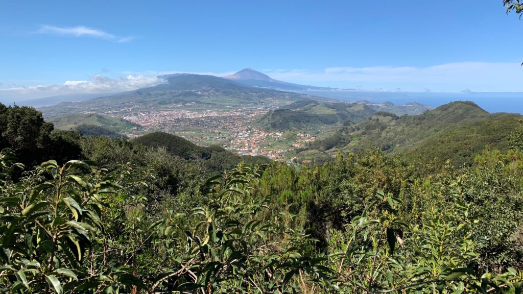 Ruta de los Sentidos de Anaga