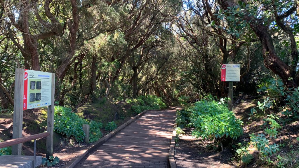 Ruta de los Sentidos de Anaga