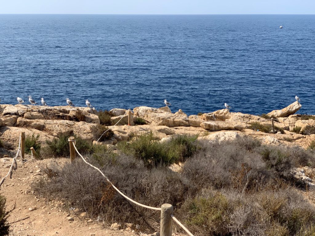 Isla de Benidorm