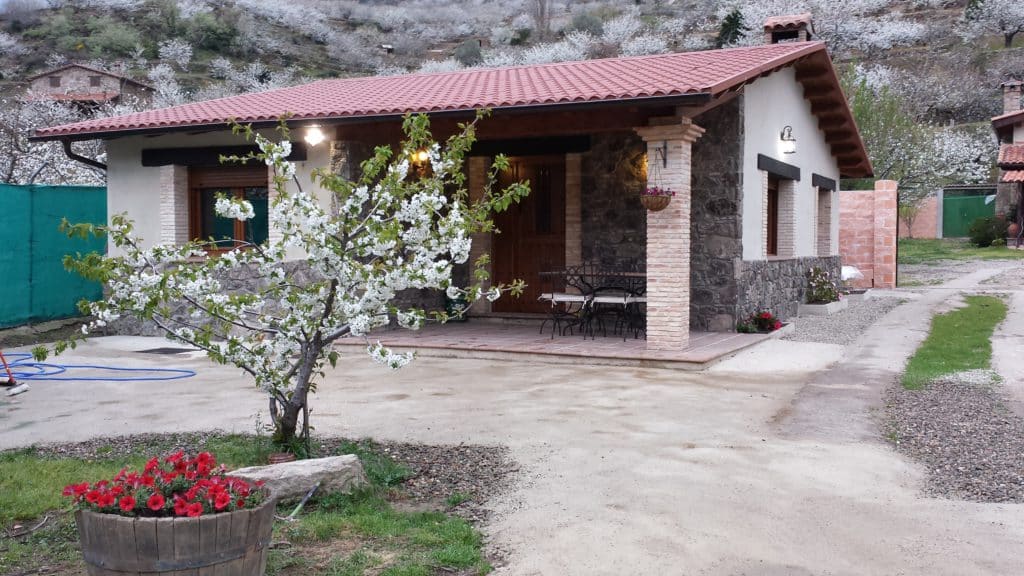 cerezo en flor en Casas rurales: La Picota del Jerte y La Picotina