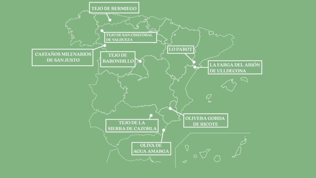mapa árboles milenarios de España