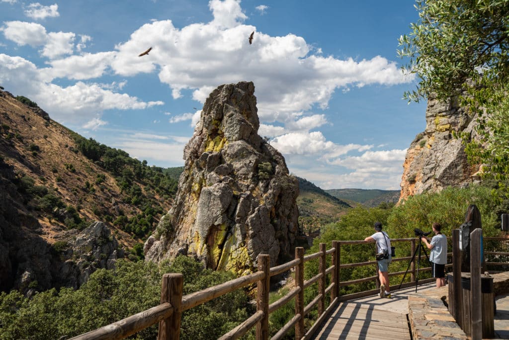 Monfragüe en Extremadura, destino sostenible