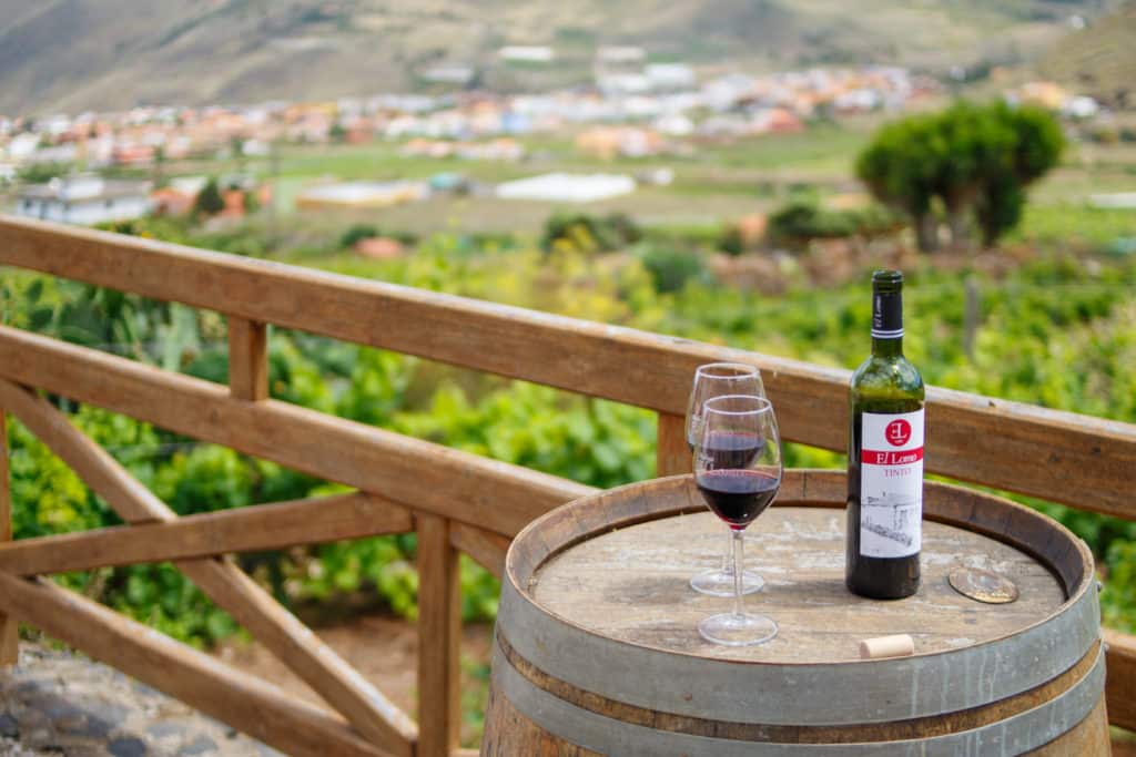 Cata de vinos volcánico en las Islas Canarias