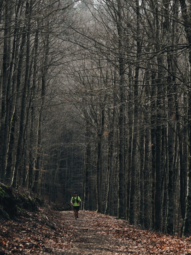 Serra da Estrela