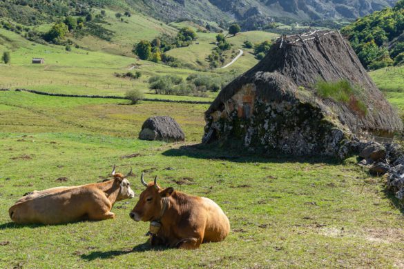 Somiedo a otro ritmo: 6 planes para disfrutar en familia del paraíso asturiano de montaña
