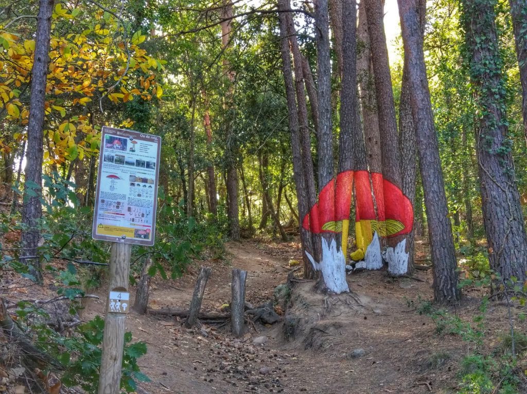 bosque pintado de Poblet