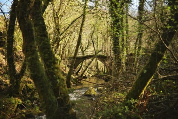 Campo Lameiro (Pontevedra) se proclama Capital del Turismo Rural 2023