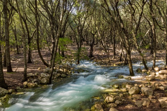 Ses Fonts Ufanes, el fenómeno hidrológico más singular de Mallorca