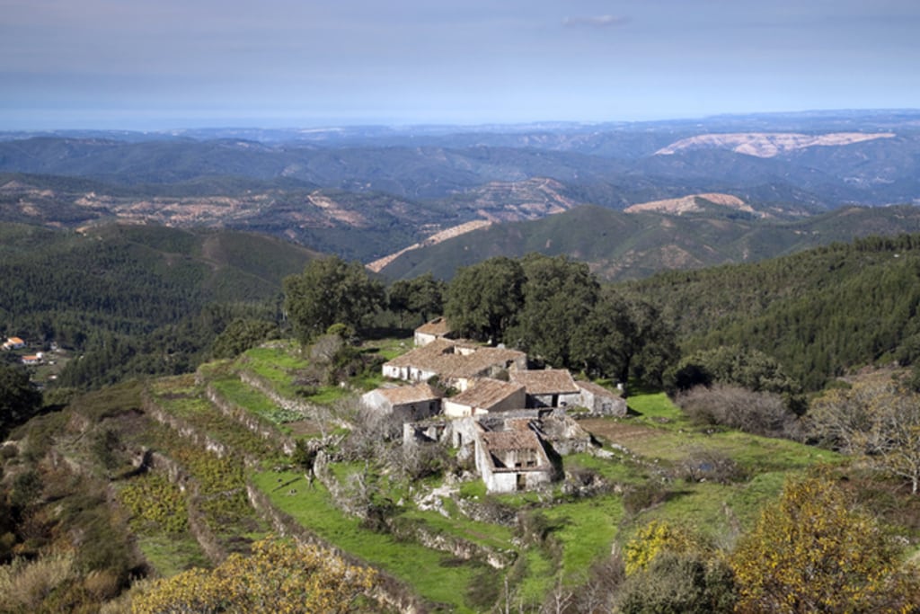 Barbelote