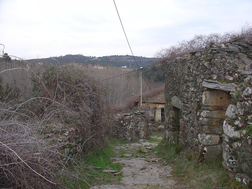 Adagoi