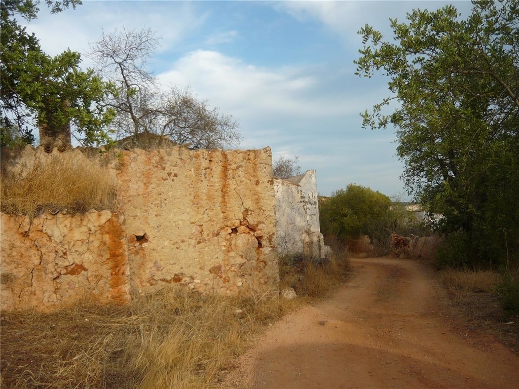 Rocha Amarela