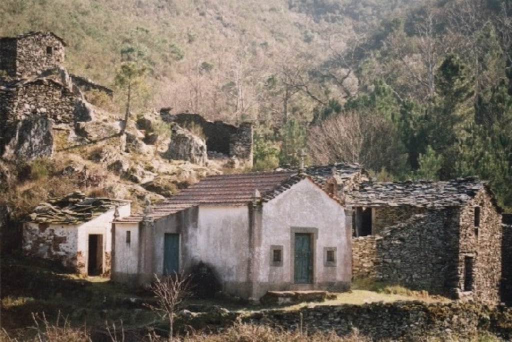Colcurinho