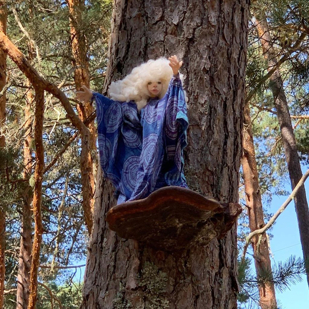 El bosque mágico de Fuente del Pino donde habitan hadas, gnomos y