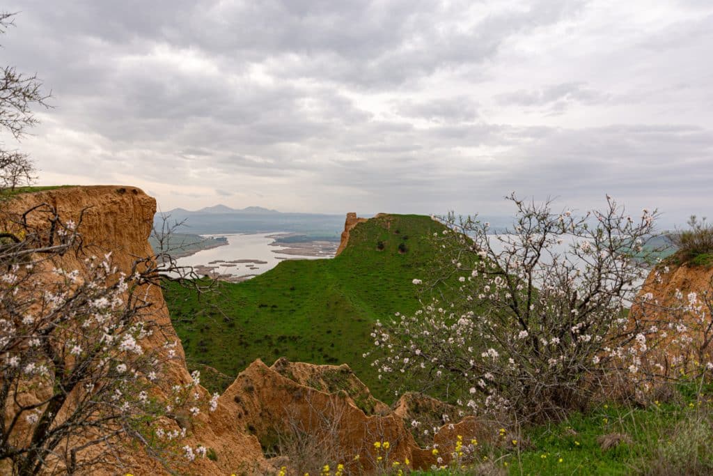 Barrancas de Burujón