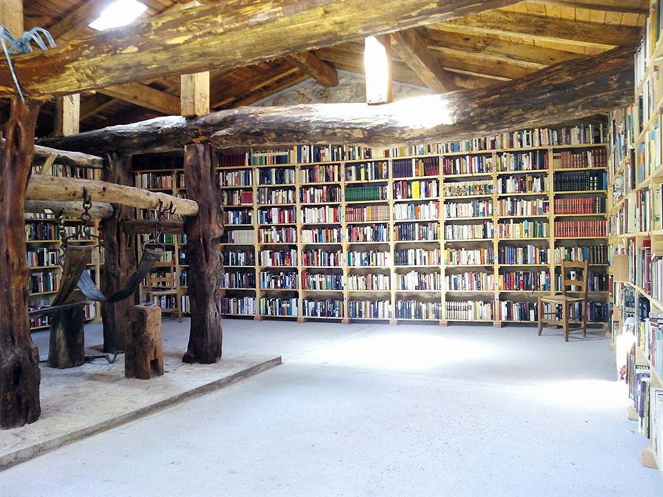 Biblioteca El Potro