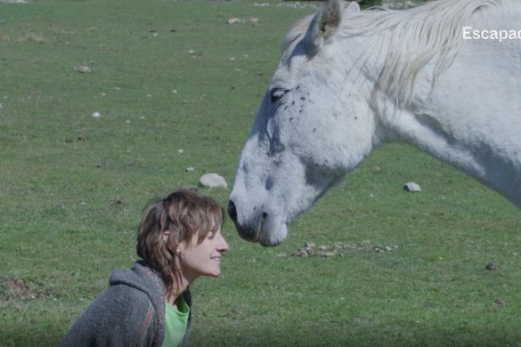 «Recuperamos caballos maltratados» – Rosa Galindo, cofundadora de la Fundació Miranda