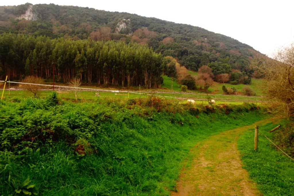 Rutas de senderismo para conocer el Ecoparque de Trasmiera