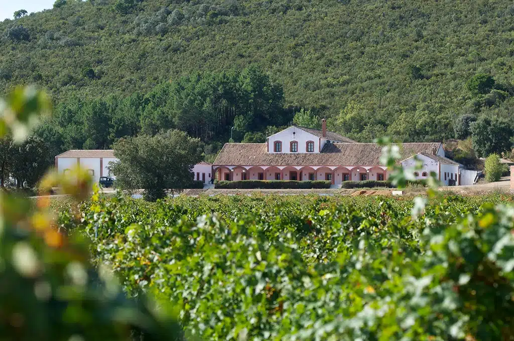 Dehesa del Carrizal