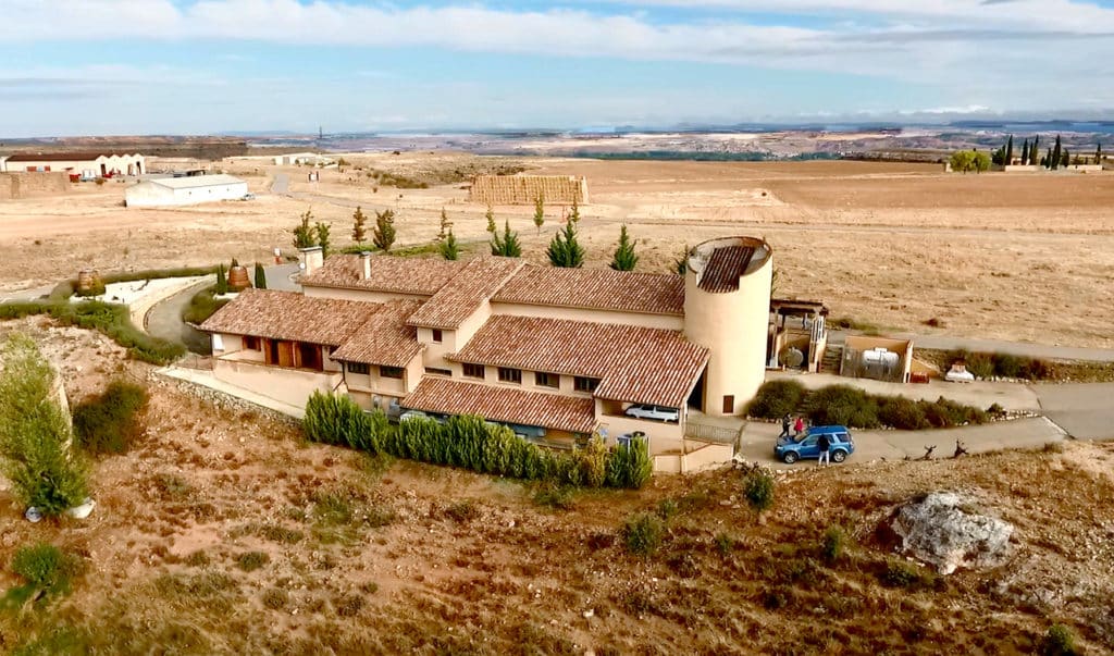 Dominio de Atauta, una de las bodegas en la Ribera del Duero con los viñedos más antiguos