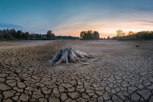 La sequía en España: Europa se calienta el doble de rápido que el resto del mundo