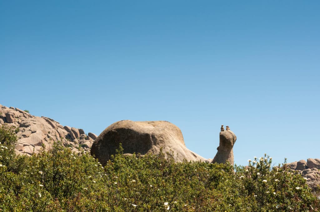 El caracol de la Pedriza