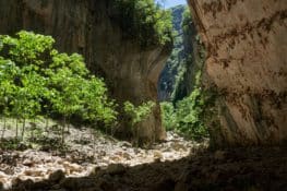 3 rutas por la sierra de Grazalema: gargantas, ríos y pinsapos