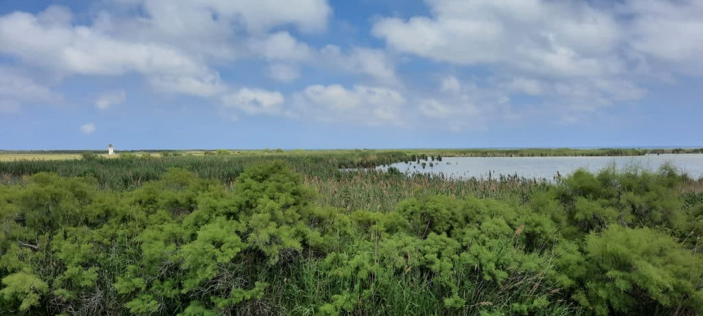 Laguna isla de Buda