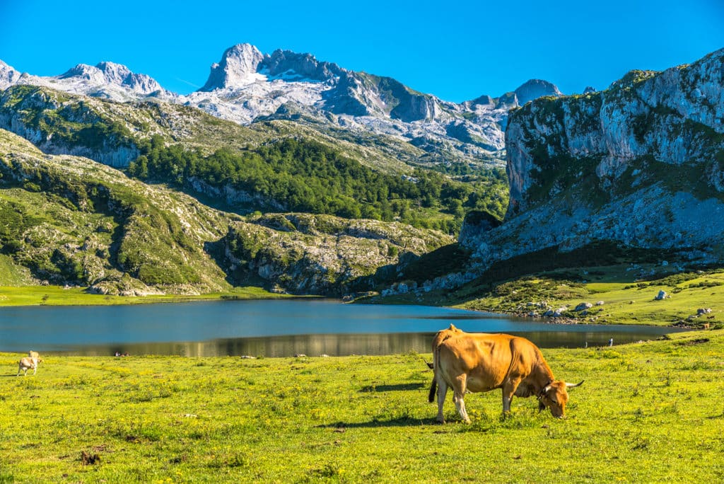 Lagos de Covadonga, en los Picos de Europa