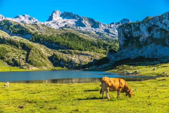 Ruta por los lagos de Covadonga: los diamantes de los Picos de Europa