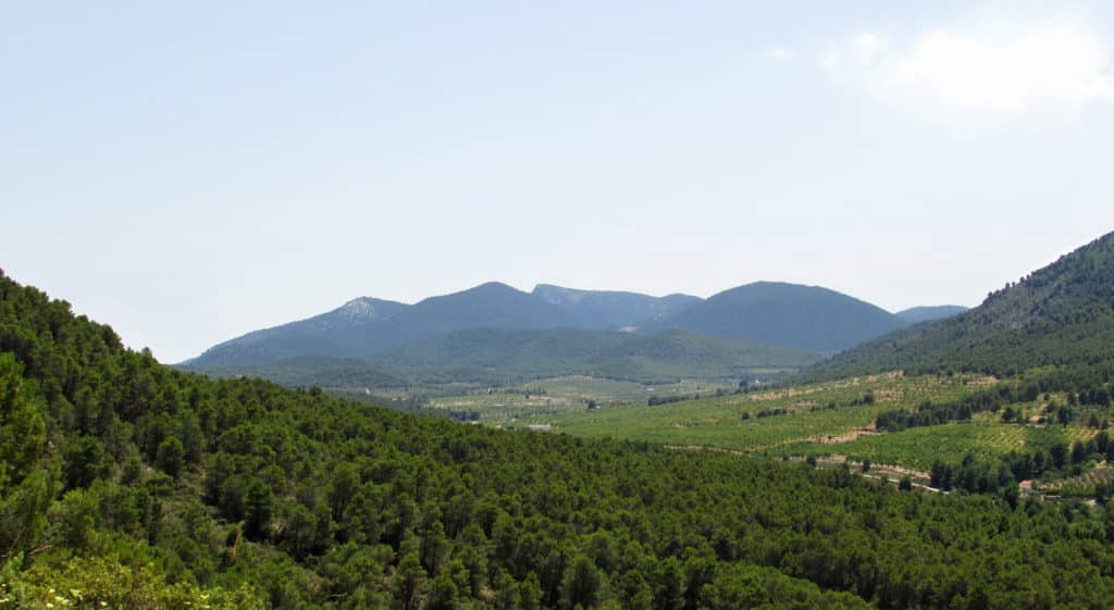 Panorama view of Sierra Espuña during a sunny day, from the full of green trees Castellar Mountain, in Murcia.