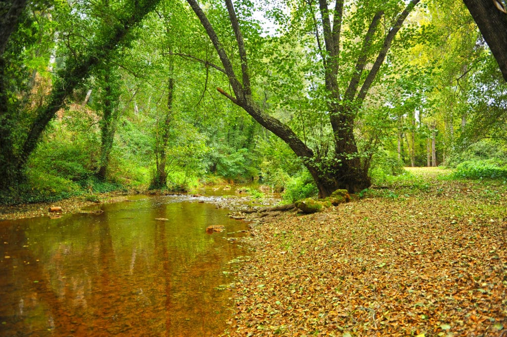 Parque Natural de la Sierra Norte de Sevilla en otoño. El río Hueznar, cerca de San Nicolás del Puerto. Rutas de senderismo en Sevilla
