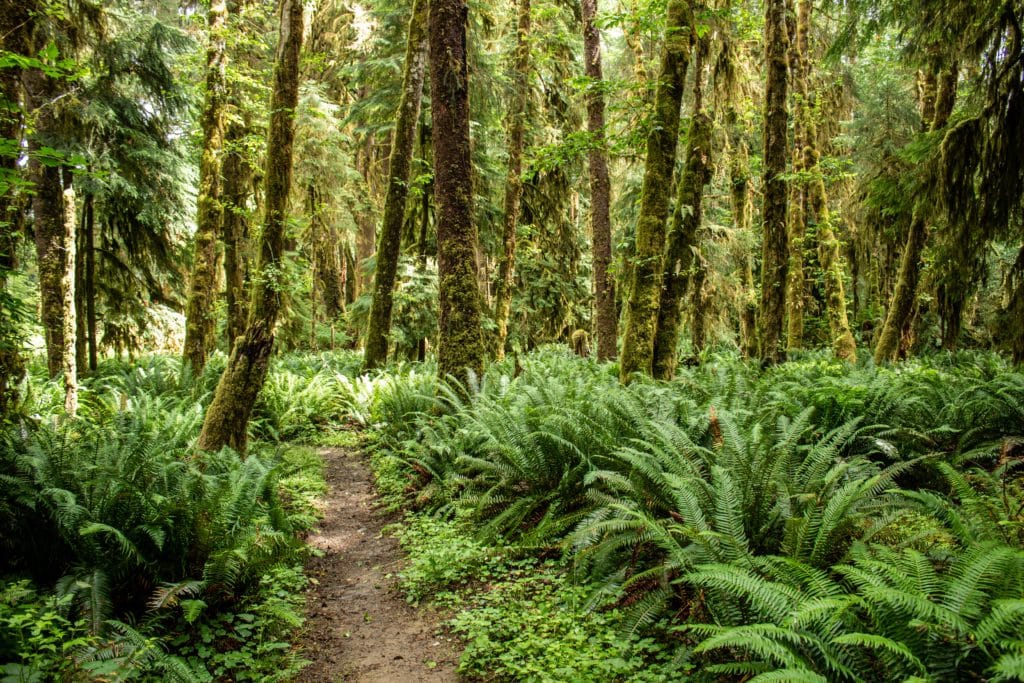 Conectar con la naturaleza