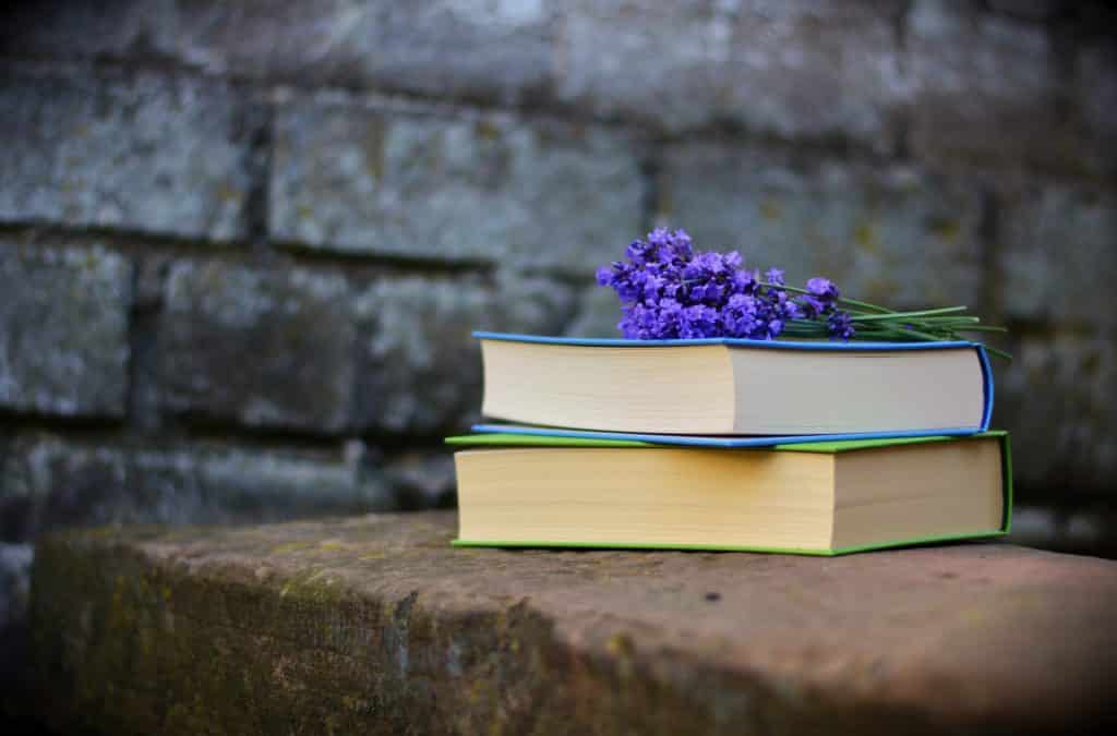 Libros para viajar por la España rural